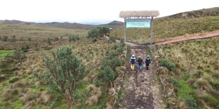 DPM evalúa acciones legales tras la revocatoria ambiental