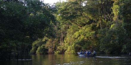 Sucumbíos concentra indicios de tierras raras en el norte de la Amazonía ecuatoriana