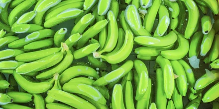 Exportaciones de banano crecen 9,87 % y superan las 111 millones de cajas en el primer trimestre