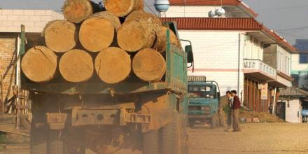 La UE eximió a Latinoamérica de su lista contra las exportaciones que generan deforestación