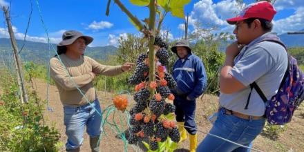 Productores de El Chaco exploran acuerdos de venta directa