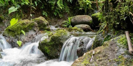 Ecuador accede a USD 23 millones para fortalecer resiliencia climático