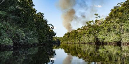 Colombia: Corte Constitucional suspendió licencias en Orinoquía y la Amazonía 