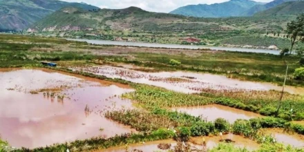 Lluvias intensas en Ecuador dejan pérdidas millonarias en el sector agrícola 