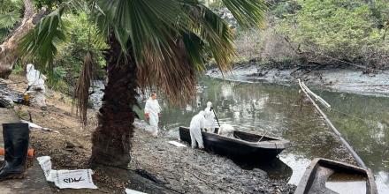 Estero Salado, contaminado por aceite, muestra "signos de recuperación ambiental" 