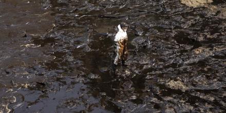 Perú: Tras 4 años del derrame en las costas, pescadores piden “sanar el mar”