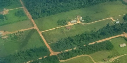 Amazonía de Perú pierde más bosque por expansión de colonias menonitas