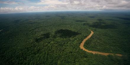 Biocorredor Amazónico entra en fase operativa 