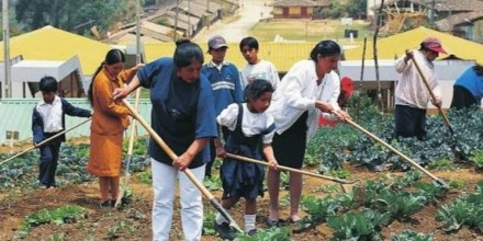 Las mipymes concentran el 54 % del empleo en las empresas de Ecuador 
