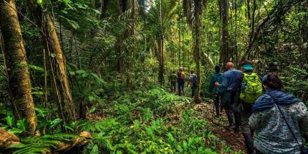 Perú: la Mesa Ejecutiva de la Amazonía se reactivará 