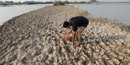 'El Niño' y 'La Niña' alteran el equilibrio de los ecosistemas marinos y la pesca 