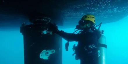 Nuevas reglas buscan proteger a Galápagos del ingreso de especies invasoras