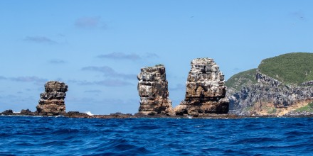 Ecologistas exigen a China que deje de botar basura cerca de las Galápagos 