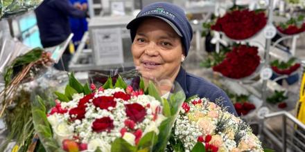 Envíos de 39.000 toneladas de flores marcan la temporada de San Valentín para Ecuador