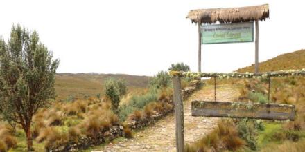 Benalcázar alertó que Loma Larga podría repetir los errores del Yasuní y Río Blanco