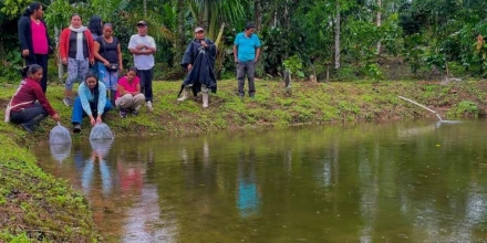 Productores amazónicos reciben alevines para fortalecer la piscicultura en Napo