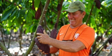 Ecuador impulsa el  cacao regenerativo para fortalecer la bioeconomía