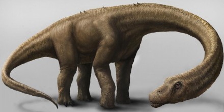 Nuevo fósil de dinosaurio hallado en Napo amplía el registro paleontológico de Ecuador