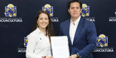 Sector camaronero impulsa plan para restaurar 250 hectáreas de manglar 