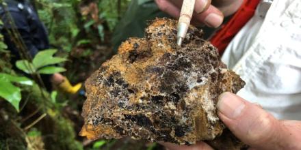 Aurania Resources suspendió sus operaciones en Ecuador