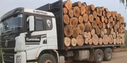 Morona Santiago: Ejército incauta madera sin permisos en Taisha