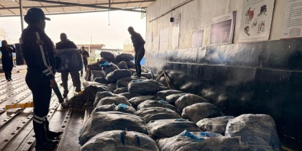 Detectan envío ilegal de casi 22 mil aletas de tiburón desde Guayaquil hacia Asia