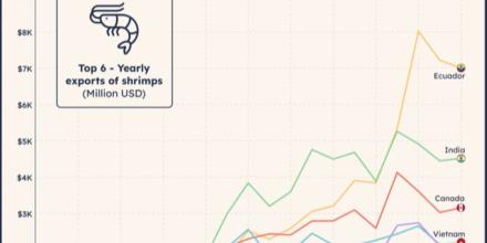 Ecuador es el principal exportador de camarón del mundo