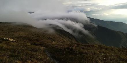 El Podocarpus, un paraíso verde entre Zamora Chinchipe y Loja