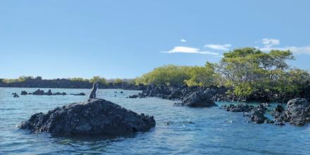 Principales noticias de Ecuador hoy - 6 de enero de 2026