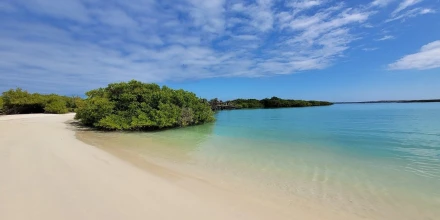 Gobierno amplía descanso por el Día del Trabajo a cuatro días consecutivos