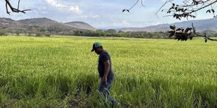 Alza del precio de la gasolina en Ecuador ya golpea al agro