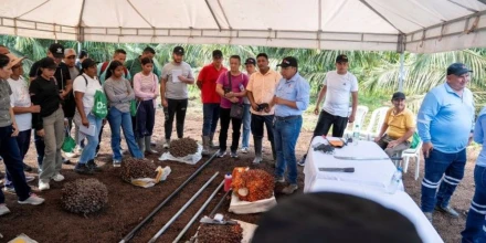 Productores de Orellana reciben capacitación técnica sobre cultivo de palma aceitera