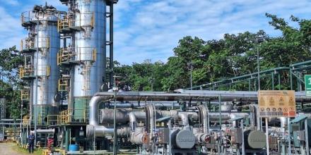 Ecuador dejó de percibir $ 148 millones por caída de producción petrolera en el ITT