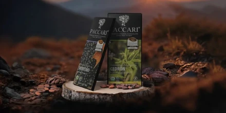 Paccari llegará a más de 25 rutas internacionales de Latam Ecuador