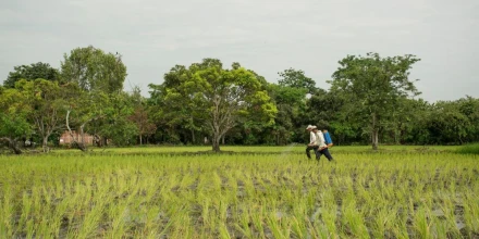 Tensión internacional eleva costos y presiona al agro ecuatoriano