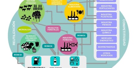La bioenergía y su aporte en la economía circular.