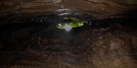 La Cueva de los Tayos atrae renovado interés científico