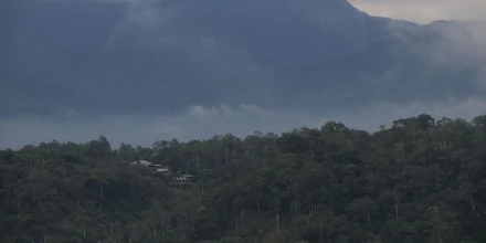 Ecuador perdió 33.000 hectáreas de bosque natural en 2025, según Global Forest Watch