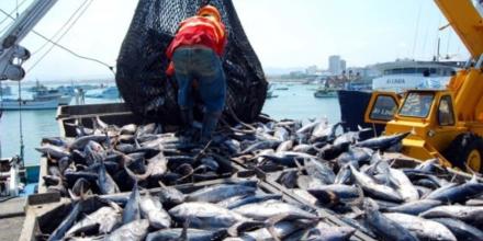 Ecuador enfrenta caída de precios del atún