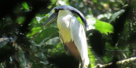 Perú: Loreto ya tiene 30 áreas de conservación privada 