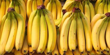 Ecuador cerró 2025 con récord en exportaciones no petroleras y no mineras