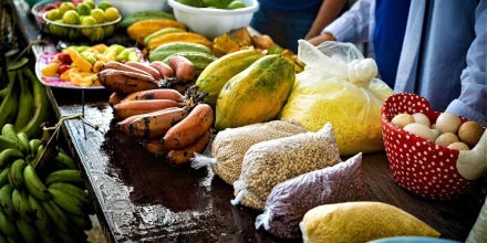 Más que ceviche: la gastronomía amazónica del Perú