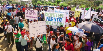 Juez rechaza acción de protección contra Curipamba