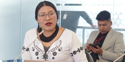 Pachakutik expulsó a 6 de sus 9 asambleístas por apoyar al Gobierno