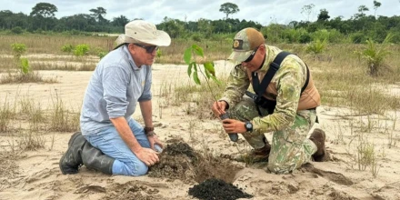 20 hectáreas afectadas por minería ilegal fueron reforestadas en Madre de Dios