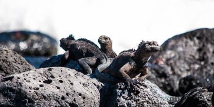 Ecuador destaca en premios internacionales de turismo y posiciona a Galápagos como referente mundial