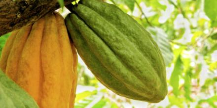 Exportadores celebran avance hacia acuerdo con EE.UU.