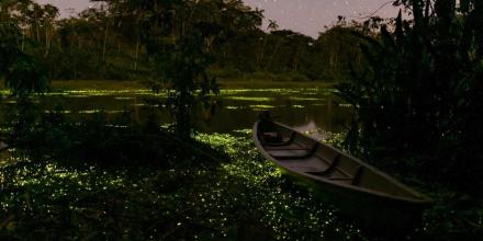 Limoncocha, un destino mágico en la Amazonía para disfrutar en el feriado 