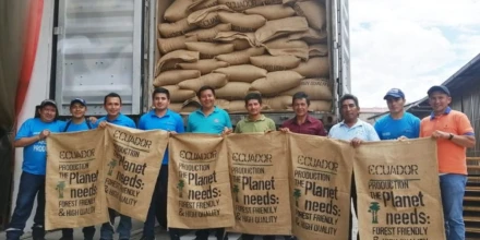 Ecuador exporta café con certificación libre de deforestación por más de USD 1,7 millones