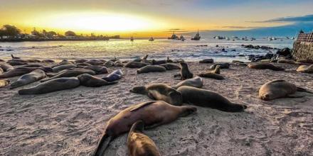 Galápagos impulsa su transición hacia una economía azul sostenible